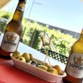 cata Cerveza Sapporo